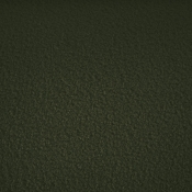 44006Green-C alternate view 10