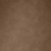 44098Brown-C alternate view 5