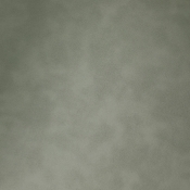 44098Green-S alternate view 5