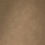 44098Tan-S alternate view 5