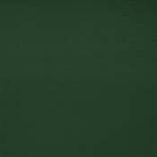 44073Green-C alternate view 10