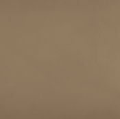 22084Tan alternate view 7