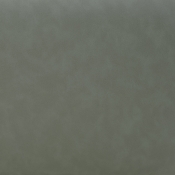 22086Green alternate view 6