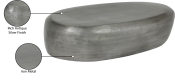 99063Silver-CT Infographic