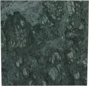 99093Green-ET alternate view 5