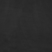 DorianBlack-T alternate view 5
