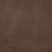 DorianBrown-T alternate view 5