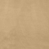 DorianCamel-T alternate view 5