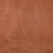 DorianCognac-Q alternate view 5