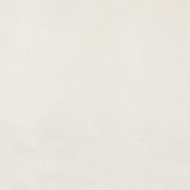 DorianCream-K alternate view 5