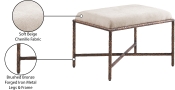 22063Beige Infographic