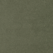 IvyGreen-T alternate view 6