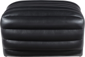 33045Black-Ott alternate view 2