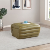 33045Olive-Ott alternate view 1