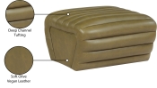 33045Olive-Ott Infographic
