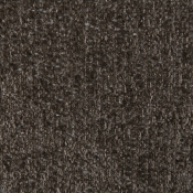 CarlinBrown-T alternate view 5