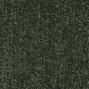 CarlinOlive-T alternate view 5