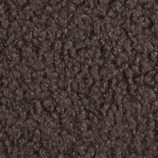 GenesisBrown-K alternate view 4