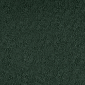ShilohGreen-Q alternate view 7