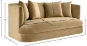 699Camel-L Dim