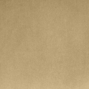 44044Camel-C alternate view 5