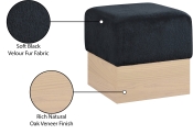 22074Black Infographic