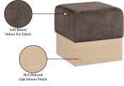 22074Brown Infographic