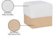 22074Cream Infographic