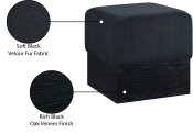 22075Black Infographic