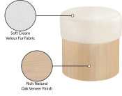 22077Cream Infographic
