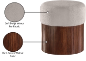 22079Beige Infographic