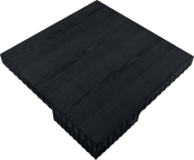 253Black-CT18 alternate view 4