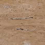 99020Travertine-ET alternate view 5