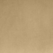 22099Camel alternate view 7