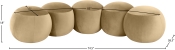 22099Camel Dim