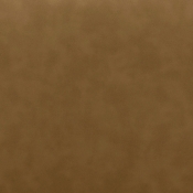 22091Brown alternate view 5