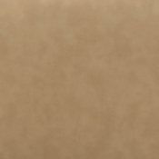 22091Tan alternate view 5