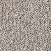 GavinBeige-Q alternate view 5