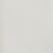 971Cream-SC alternate view 7