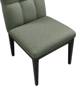 972Green-SC alternate view 6