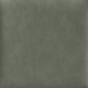 972Green-SC alternate view 7