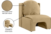 33031Camel Infographic