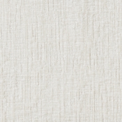 B1245Cream-T alternate view 6