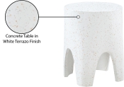 99054White-ET Infographic