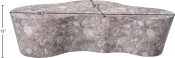 99033Brown-CT Dim