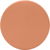 99026Salmon-ET alternate view 3