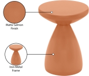 99026Salmon-ET Infographic