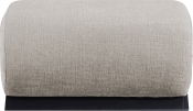 33072Grey-Ott alternate view 2