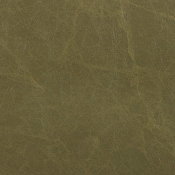33058Olive alternate view 7