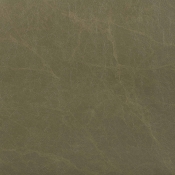 22056Olive alternate view 6